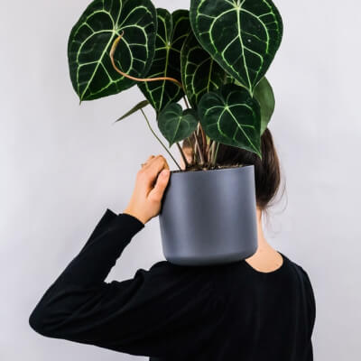 A propos de nous Plants Store Gallery Img 1