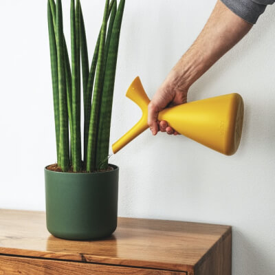 A propos de nous Plants Store Gallery Img 2