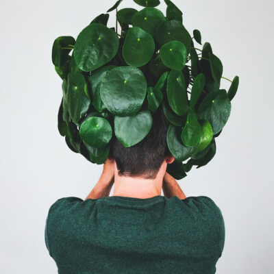 A propos de nous Plants Store Gallery Img 3