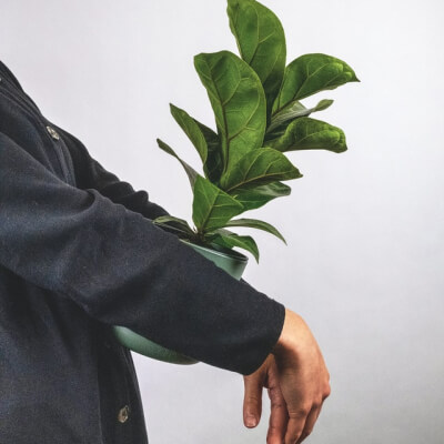 A propos de nous Plants Store Gallery Img 6